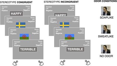 An Overprotective Nose? Implicit Bias Is Positively Related to Individual Differences in Body Odor Disgust Sensitivity